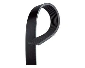 AC Delco V-Ribbed Serpentine Belt