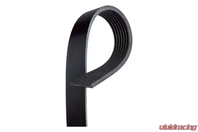 AC Delco V-Ribbed Serpentine Belt - 12634319