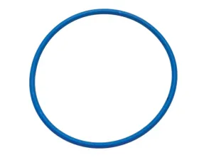 AC Delco Automatic Transmission 2-4 Band Servo Cover Seal