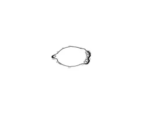AC Delco Automatic Transmission End Cover Gasket
