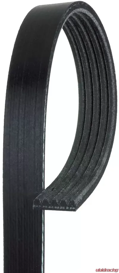 AC Delco Standard V-Ribbed Serpentine Belt - 5K345