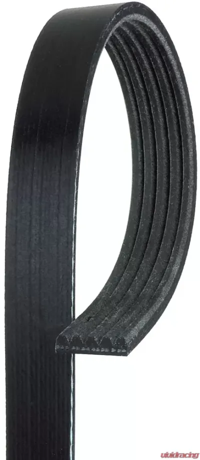 AC Delco Standard V-Ribbed Serpentine Belt - 5K405