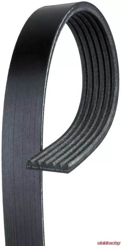 AC Delco Standard V-Ribbed Serpentine Belt - 6K529
