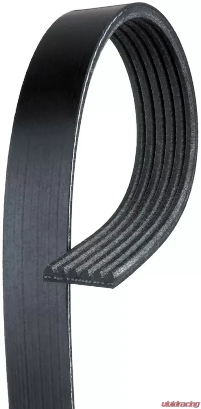AC Delco Standard V-Ribbed Serpentine Belt - 6K854