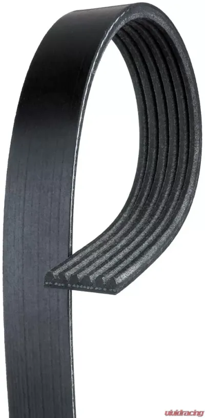 AC Delco Standard V-Ribbed Serpentine Belt - 6K868