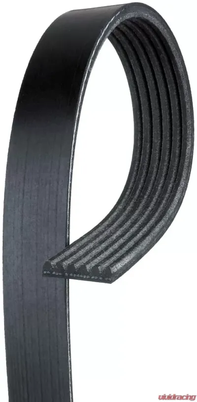 AC Delco Standard V-Ribbed Serpentine Belt - 6K900
