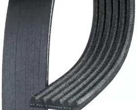 AC Delco Standard V-Ribbed Serpentine Belt