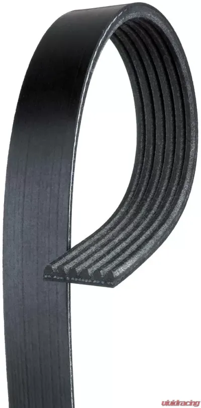 AC Delco Standard V-Ribbed Serpentine Belt - 6K990