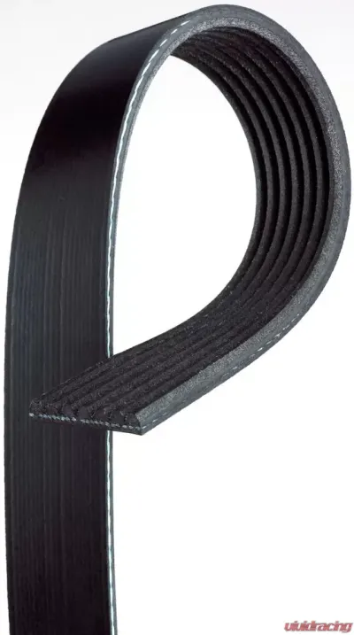 AC Delco Standard V-Ribbed Serpentine Belt - 7K975