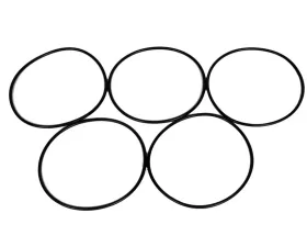 AC Delco Water Pump O-Ring