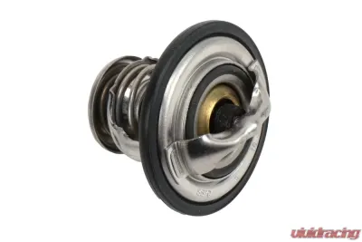 AC Delco Engine Coolant Thermostat - 131-163