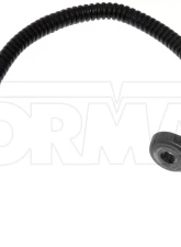 Dorman - OE Solutions Park Assist Camera                                     - 590-928 - Image 4