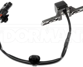 Dorman - OE Solutions Parking Assist Camera