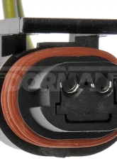 Dorman - TECHoice License Plate Lamp Socket And Harness Assembly Dodge                                     - 645-748 - Image 3
