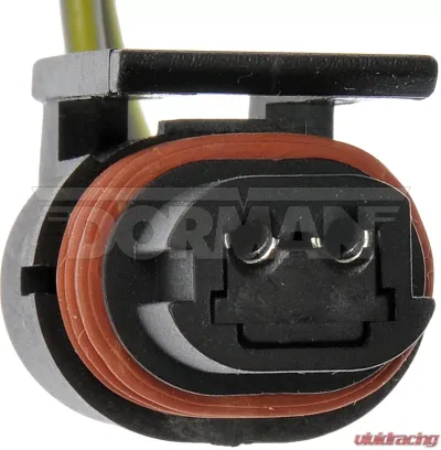 Dorman - TECHoice License Plate Lamp Socket And Harness Assembly Dodge - 645-748