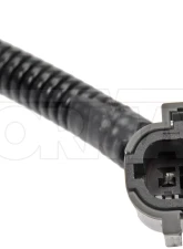Dorman - OE Solutions Magnetic Crankshaft Position Sensor                                     - 907-893 - Image 3