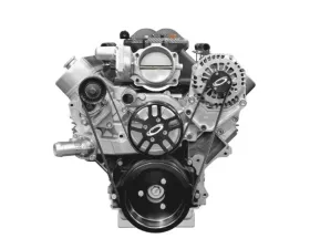 Procharger Serpentine Accessory Drive 8 Rib Belt with Crank Pulley and Alternator Bracket