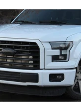 ProCharger High Output Intercooled System w/ P-1SC-1 Ford F-150 5.0 4V 2015-2017                                     - 1FY211-SCI - Image 3