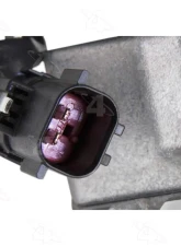 Four Seasons New Nippondenso 10S17C Compressor w/Clutch 178313                                     - 178313 - Image 3