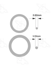 Four Seasons Block Type Expansion Valve O-Ring Kit 24000                                     - 24000 - Image 2