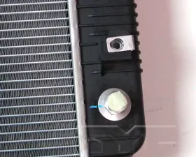 TYC Genera Radiator Assembly