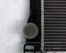 TYC Genera Radiator Assembly
