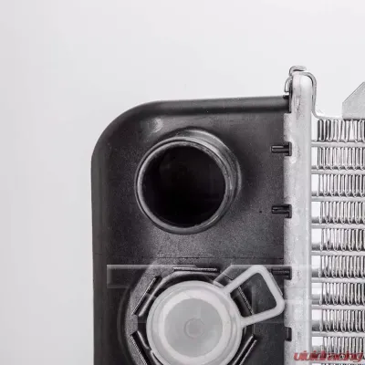 TYC Genera Radiator Assembly - 1693