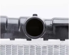 TYC Genera Radiator Assembly