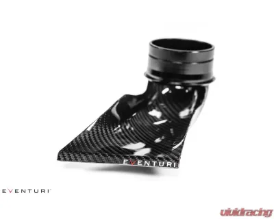 Eventuri Black Carbon Intake System BMW M3 E46 2001-2006 - EVE-E46-CF-INT