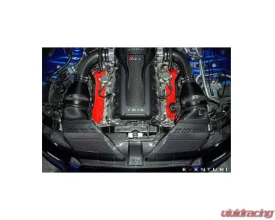 Eventuri Black Carbon Facelift Slam Panel Cover for EVE-RS5-CF-SLM Audi RS5 2018+ - EVE-RS5-CF-SLM