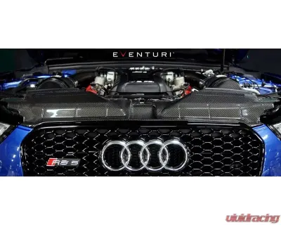 Eventuri Black Carbon Facelift Slam Panel Cover for EVE-RS5-CF-SLM Audi RS5 2018+ - EVE-RS5-CF-SLM
