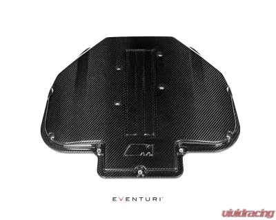 Eventuri Black Carbon Plenum Lid EVE-S62-CF-PLM for BMW M3/M4 F80/F82/F83 2012-2020 - EVE-S62-CF-PLM