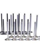 034 Motorsports Stainless/Inconel Valve Set 24V & R32                                     - 034-201-8019 - Image 2