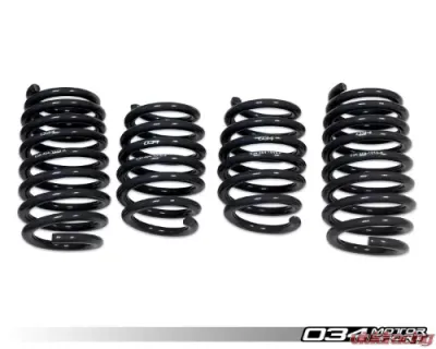 034 Motorsports Dynamic+ Lowering Springs for Audi R8 2006-2015 V8 4.2L FSI - 034-404-1010