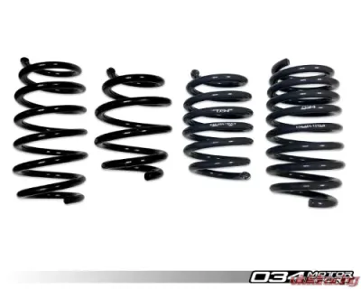 034 Motorsports Dynamic+ Lowering Springs for Audi R8 2006-2015 V8 4.2L FSI - 034-404-1010