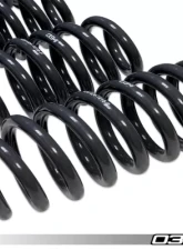 034 Motorsports Dynamic+ Lowering Springs for Audi R8 2006-2015 V8 4.2L FSI                                     - 034-404-1010 - Image 3