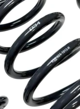 034 Motorsport Dynamic+ Lowering Springs Audi A5 | S5 B8 | B8.5 2008-2017                                     - 034-404-1013 - Image 2