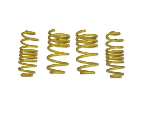 034 Motorsports Dynamic+ Lowering Springs Porsche Macan 95B w/ PASM 2015-2024