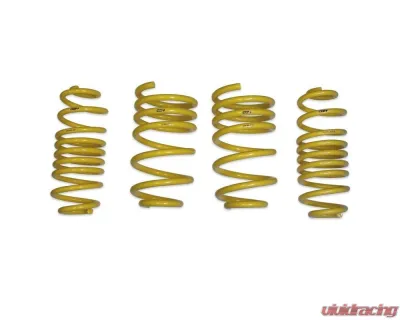034 Motorsports Dynamic+ Lowering Springs Porsche Macan 95B w/ PASM 2015-2024 - 034-404-1037