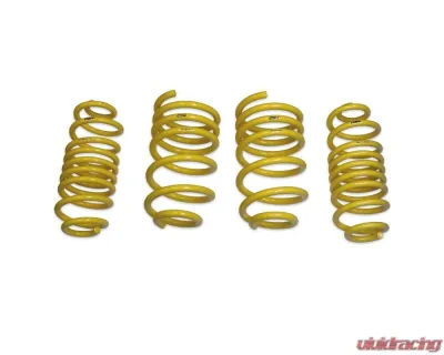 034 Motorsports Dynamic+ Lowering Springs Porsche Macan 95B w/ PASM 2015-2024 - 034-404-1037