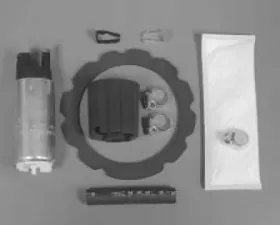 Walbro Fuel Pump/Filter Assembly Part Number GCA714-1