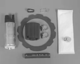 Walbro Fuel Pump/Filter Assembly Part Number GCA715-1