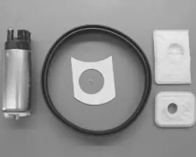 Walbro Fuel Pump/Filter Assembly Part Number GCA733-1