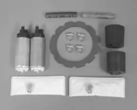 Walbro Fuel Pump/Filter Assembly Part Number GCA755-1