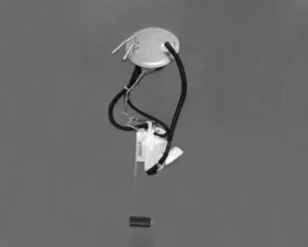 Walbro Tank Unit Assembly Part Number TU211-1