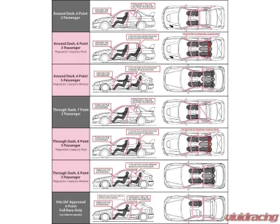 Cusco D1 Chromoly 5 Point 2-Passenger Rear Roll Cage w/ Diagonal Bar Subaru WRX | STi 2002-2007 - 666 261 D