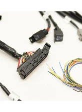 Eurowise Sesh AAA OBD2 Swap Harness Volkswagen VR6                                     - SESHVR6 - Image 4