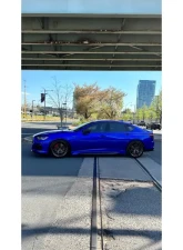 Swift Springs Spec-R Springs Acura TLX Type S 2021-2024                                     - 4H920R - Image 4