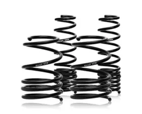 Swift Springs Spec-R Springs