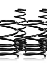 Swift Springs Spec-R Springs                                     - 4H921R - Image 5